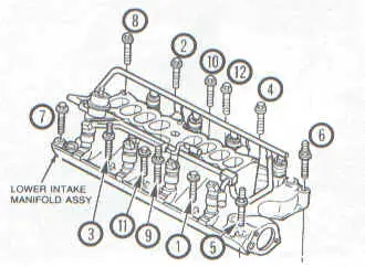 8.webp