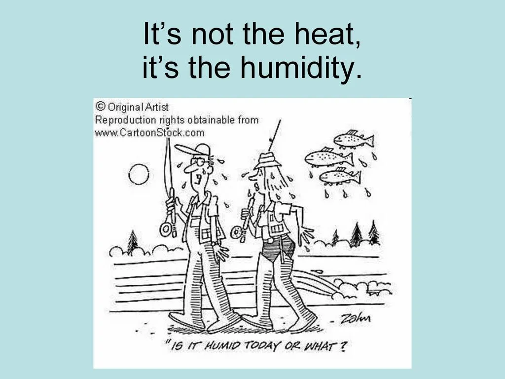 %80%99s+not+the+heat%2C+it%E2%80%99s+the+humidity..webp