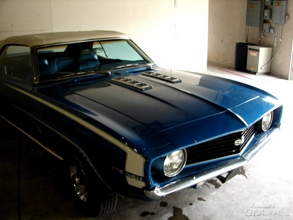 800cars_113.webp