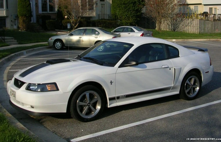 808picture_014.webp