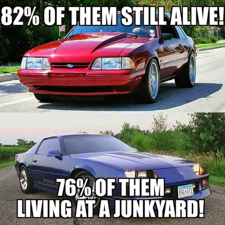 82percent.webp