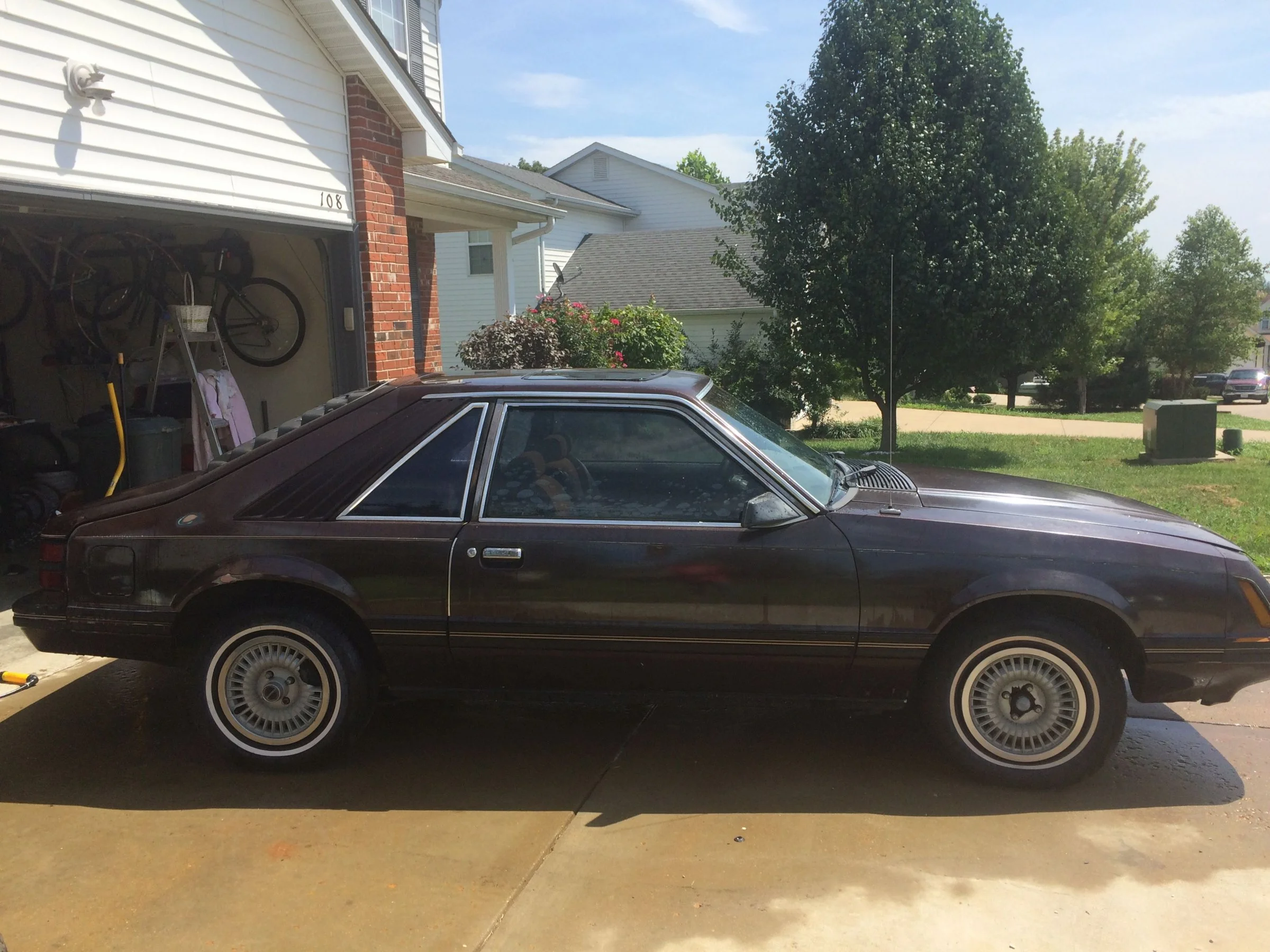 83 Mustang.webp