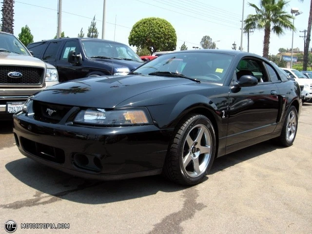 84223d1259072835-craigslist-mustang-cobras-other-rarities-0280369b.webp