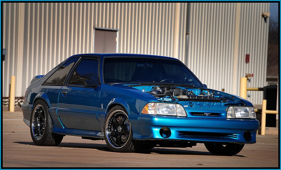 8439955958_d6127d7e6e_b.webp