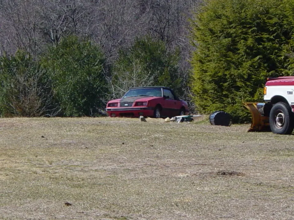 84_Lost_Stang04.webp