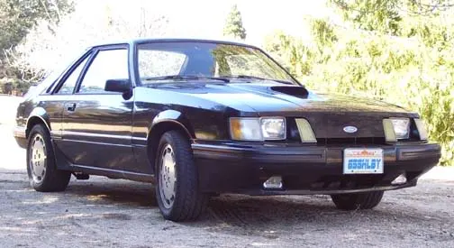 84Mustang1.webp