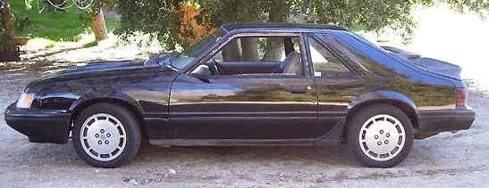 84Mustang3.webp