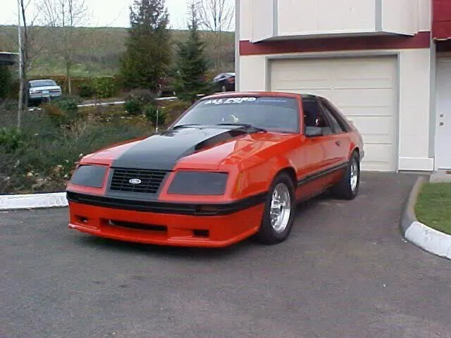 84saleennose.webp