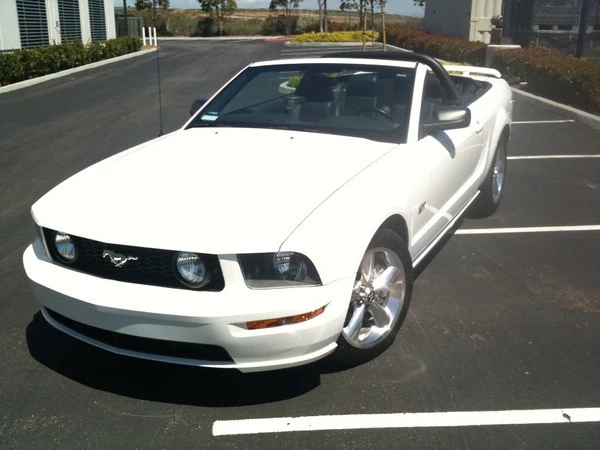 850805238_AE482-M.webp