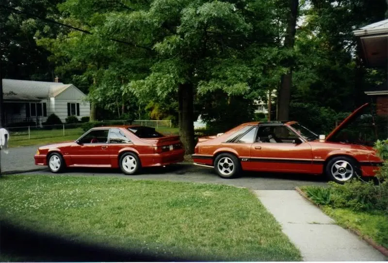 8687redgts.webp