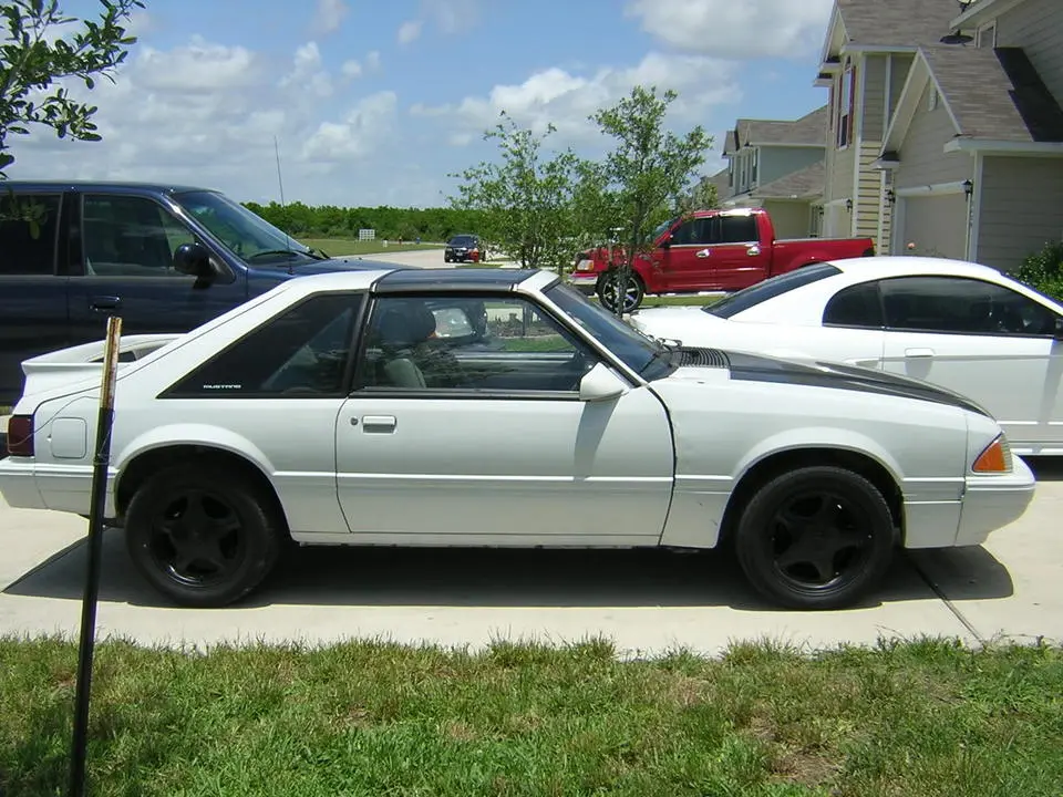 87mustang016.webp