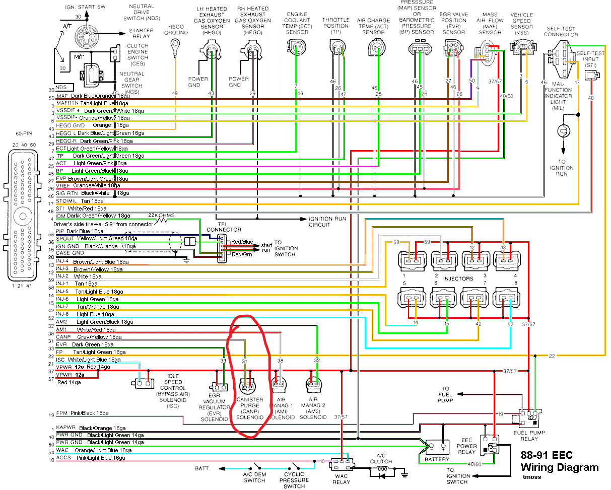 88-91_5.0_EEC_Wiring_Diagram2.gif