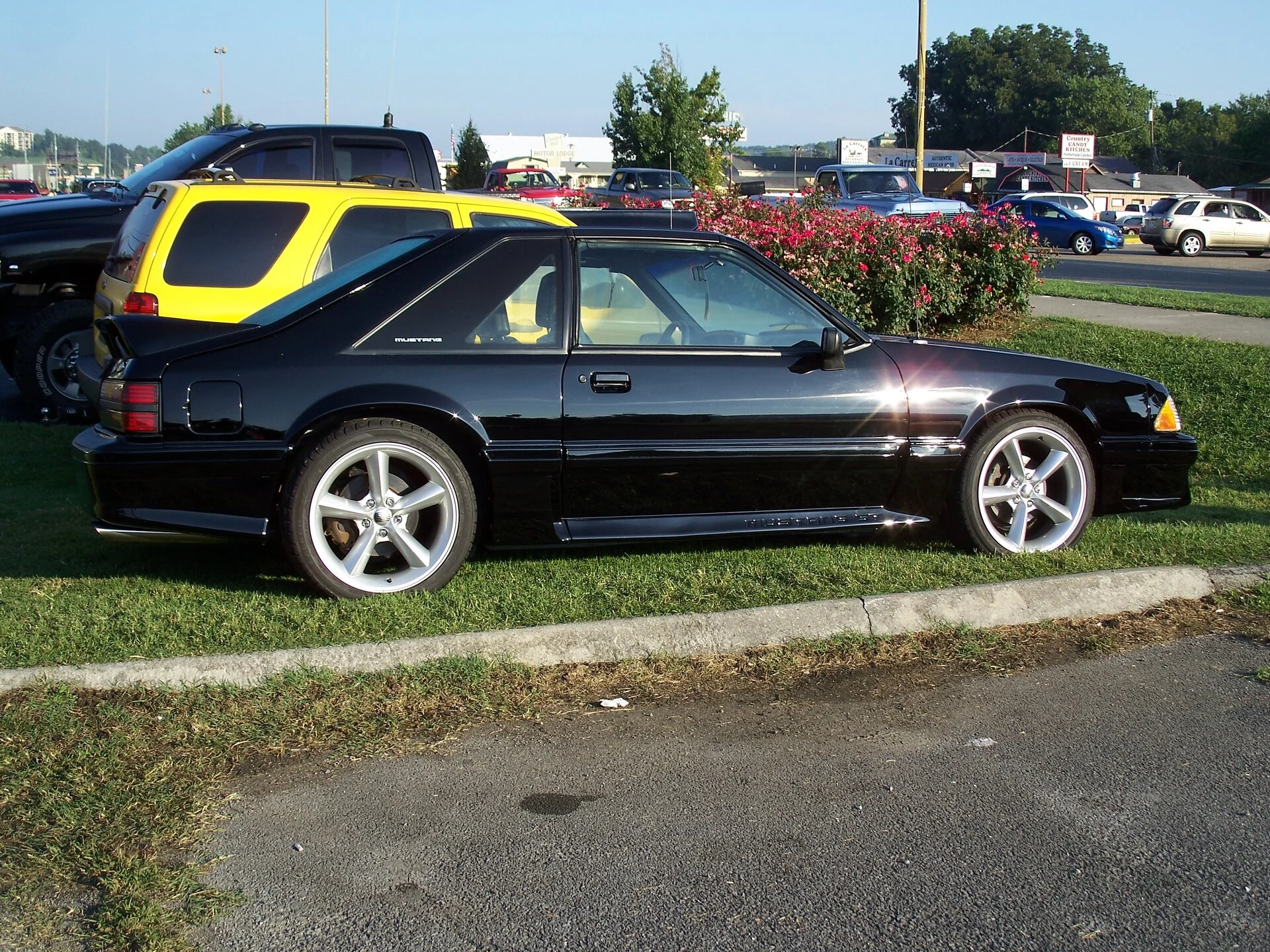 88 T-Top (13).webp