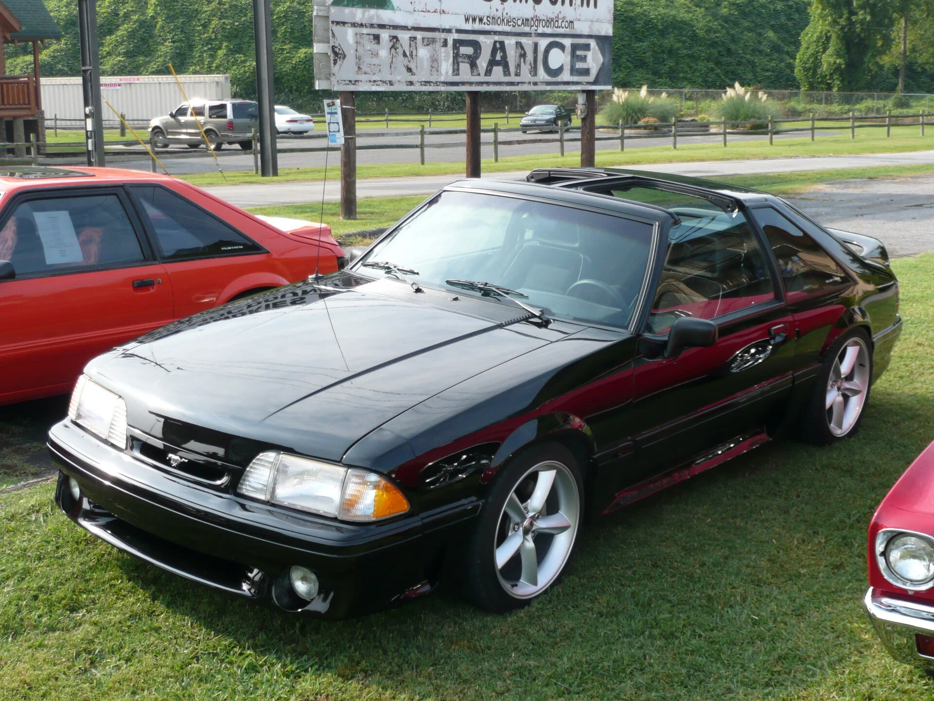 88 T-Top (15).webp