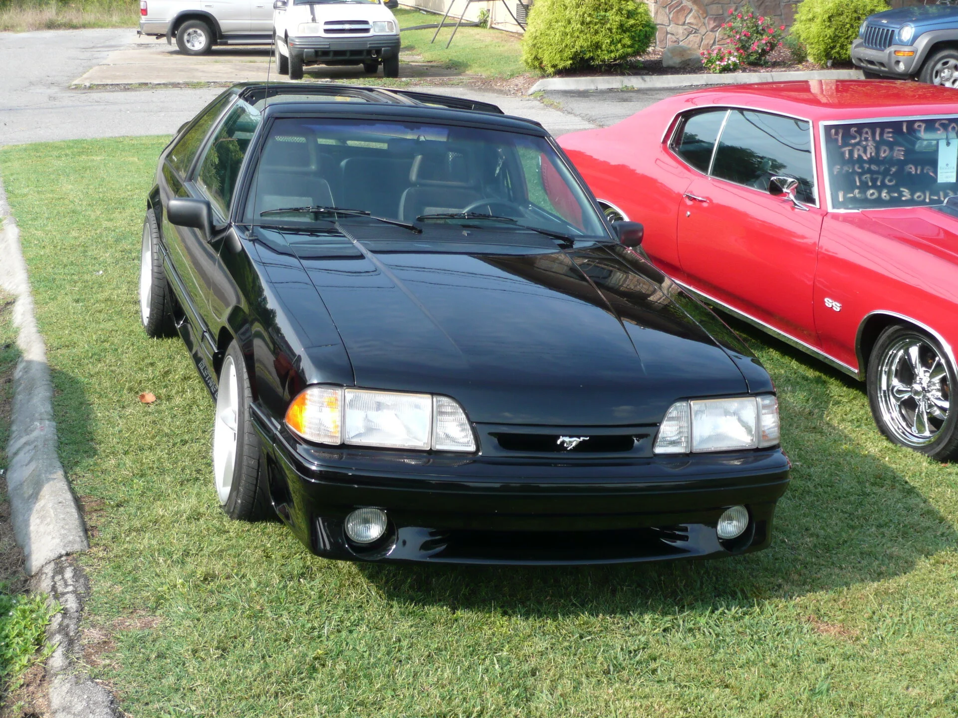 88 T-Top (9).webp