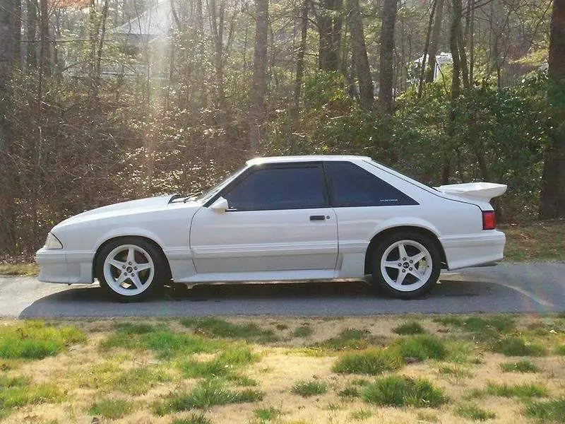 88gt008pe0.webp