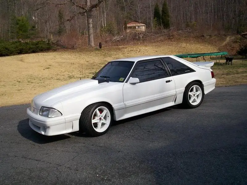 88gt009xp8.webp