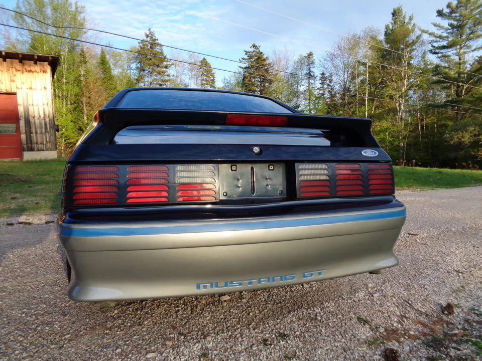88GT31.webp