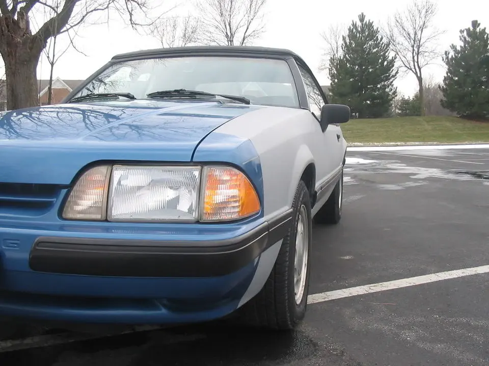 88mustang1-27-08004.webp