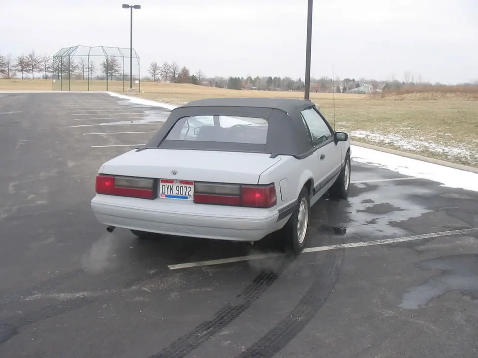 88mustang1-27-08005.webp
