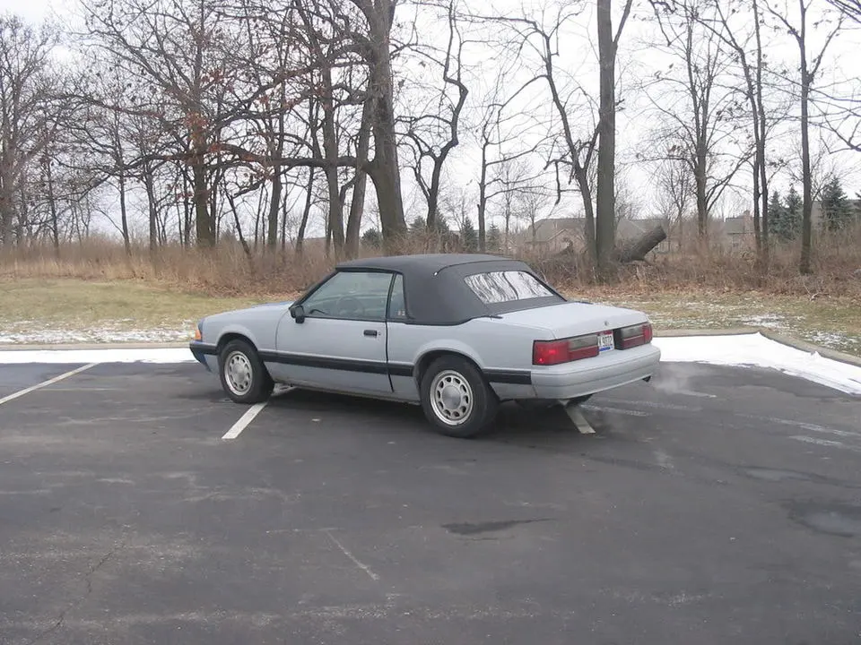 88mustang1-27-08006.webp