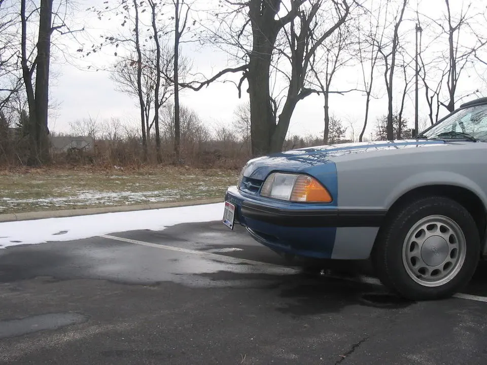 88mustang1-27-08007.webp