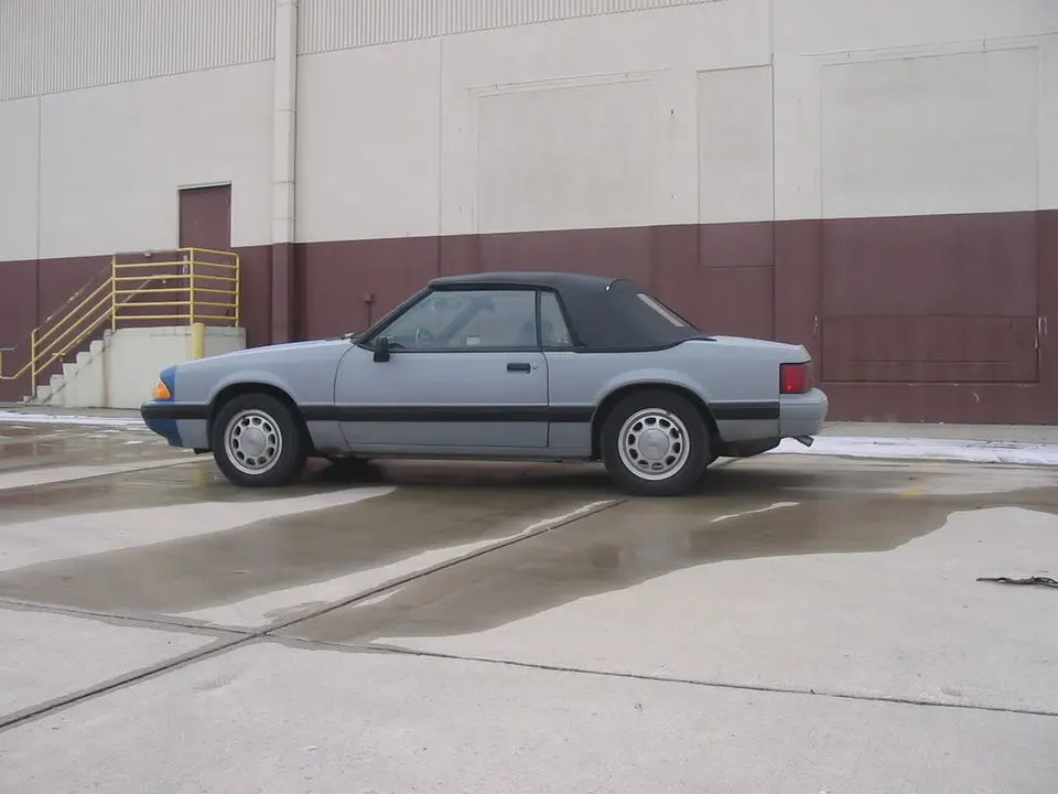 88mustang1-27-08008.webp
