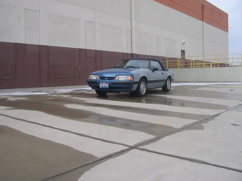 88mustang1-27-08009.webp