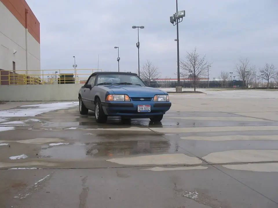 88mustang1-27-08010.webp