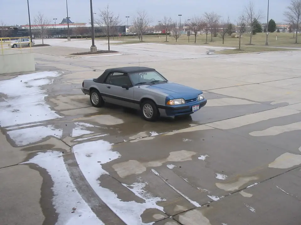 88mustang1-27-08011.webp