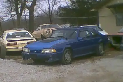 88mustang10.webp