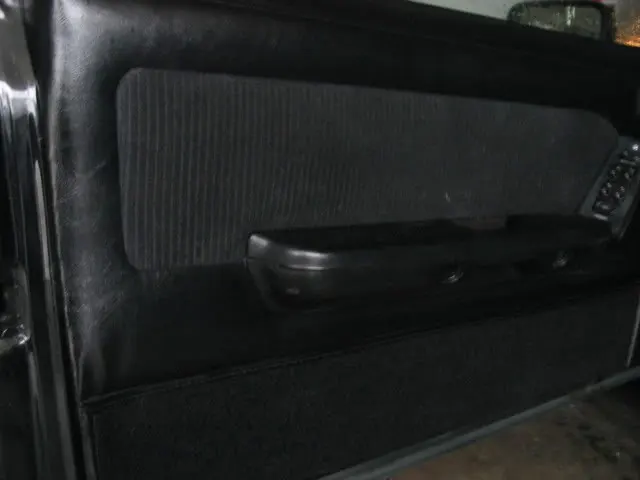88mustang3-19-08009.webp
