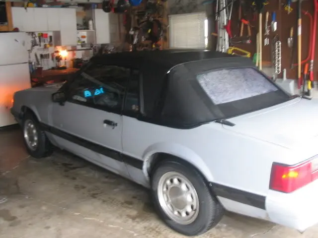 88mustang3-19-08011.webp