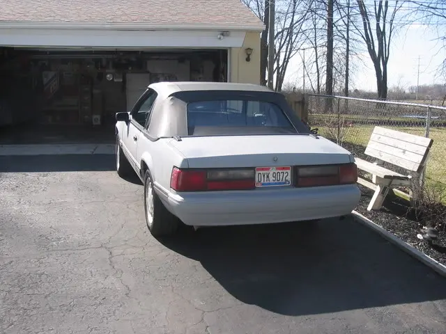 88mustang3-20-08001.webp