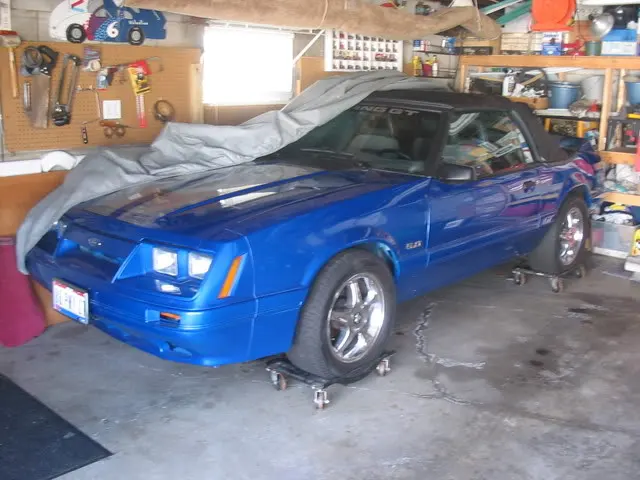 88mustang3-20-08011.webp