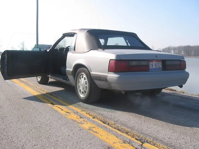 88mustang3-24-08009.webp