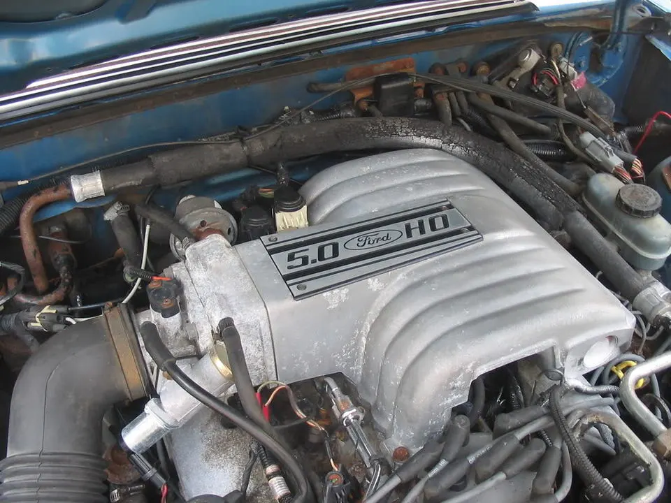 88mustang5.0010.webp