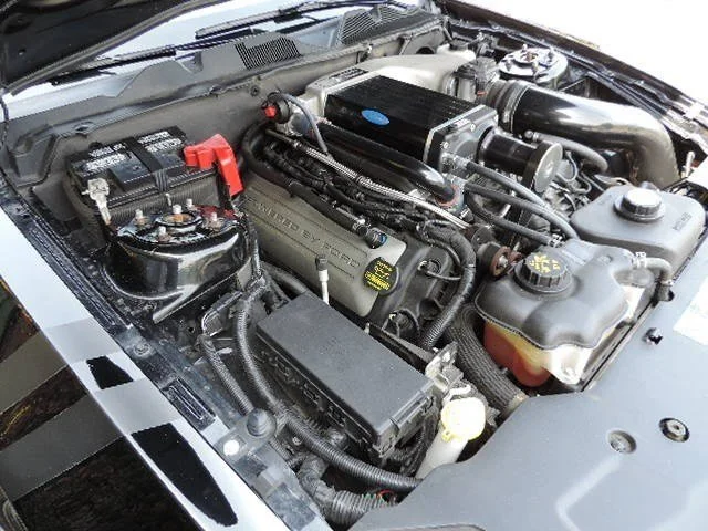 8902401729x640.webp