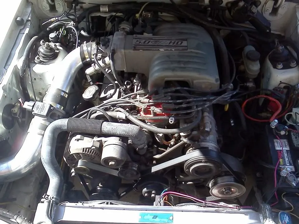 8973CAC0-orig.webp