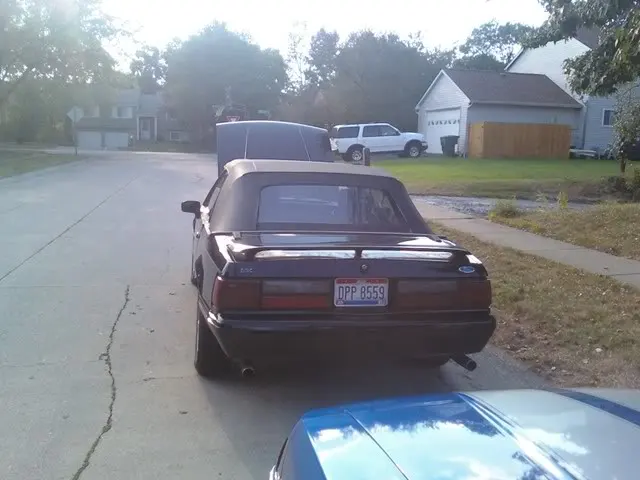 89lx2.webp