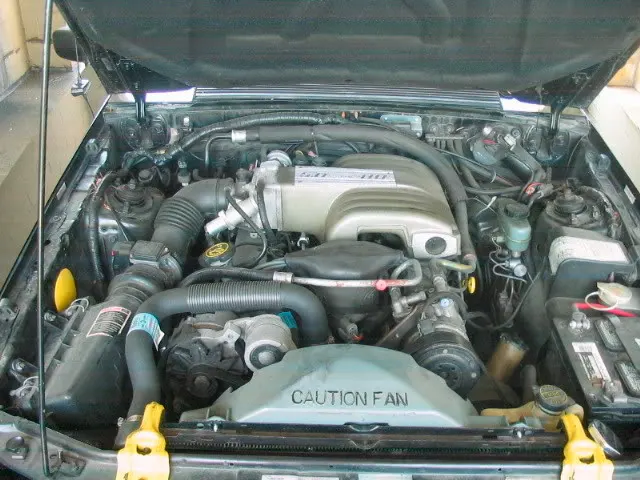 89MustangLX004.webp
