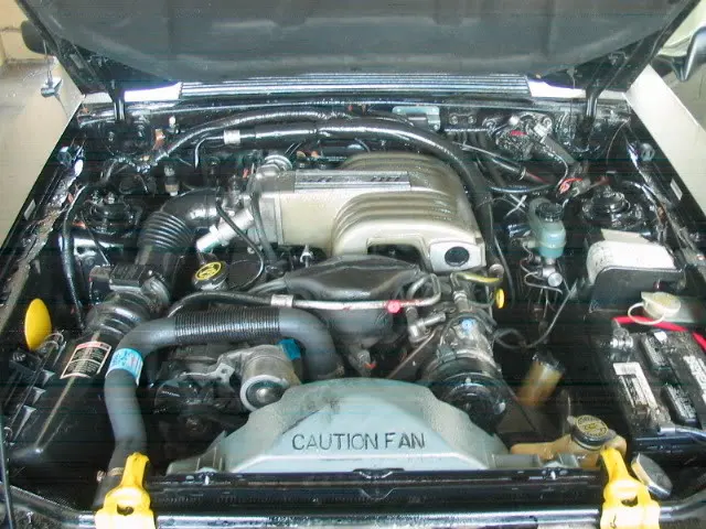 89MustangLX008.webp
