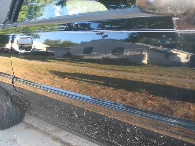 89MustangLX014.webp