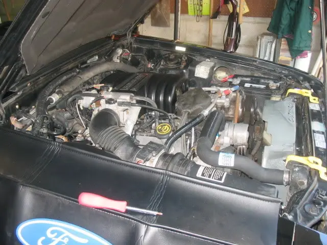 89MustangLX028-1.webp