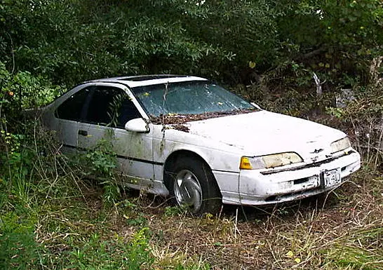 89SC.webp