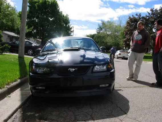 8a12773f.webp