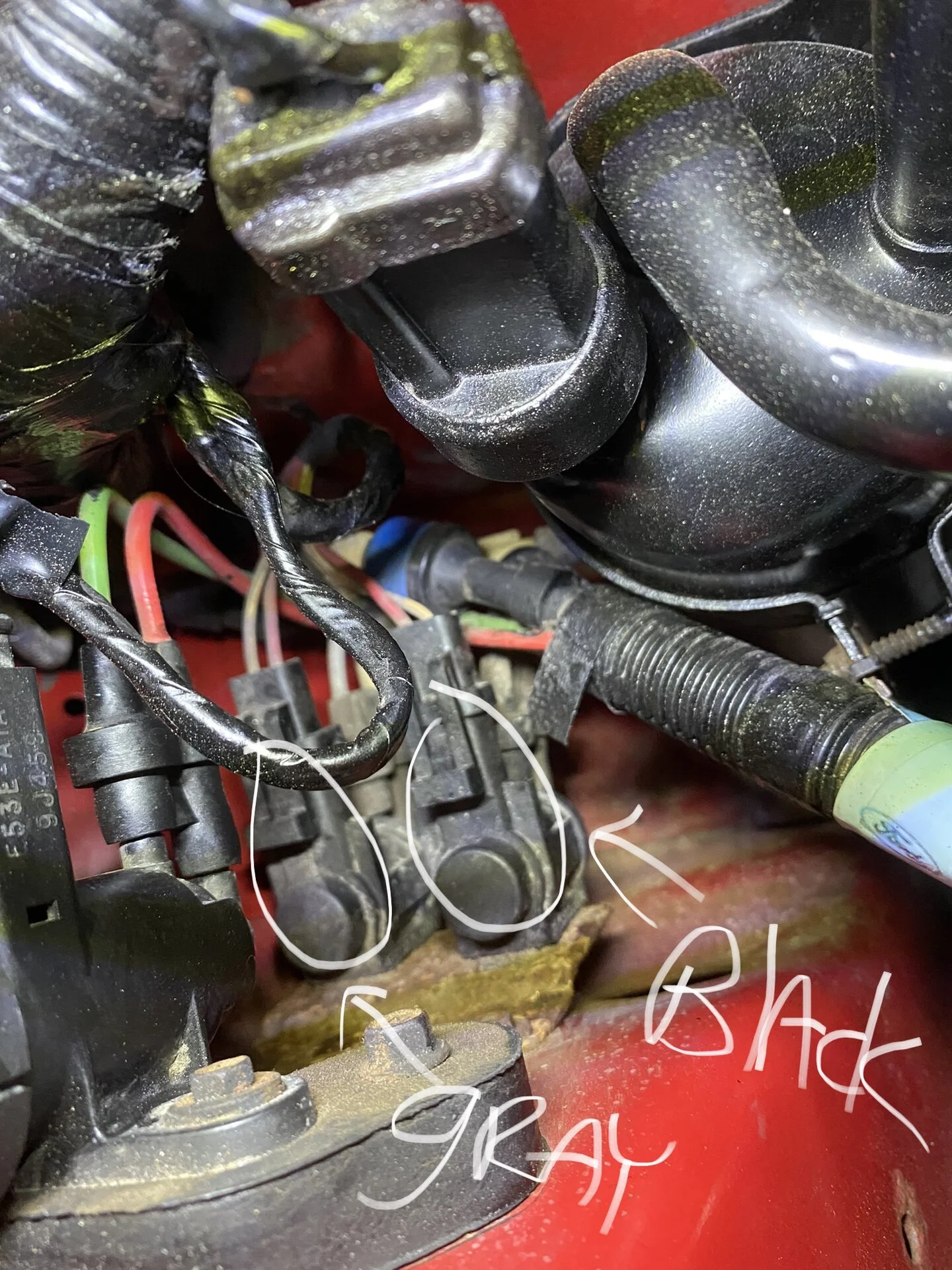 90882E7D-F4A2-4CEA-BF3B-376FF942D350.webp