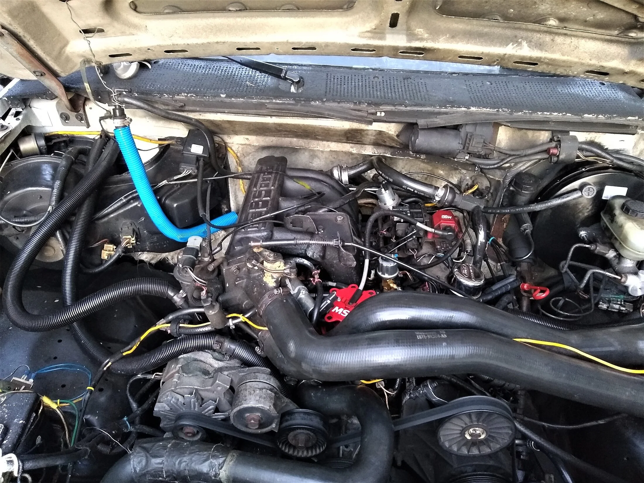 91 Bronco Topshot front 1.jpg