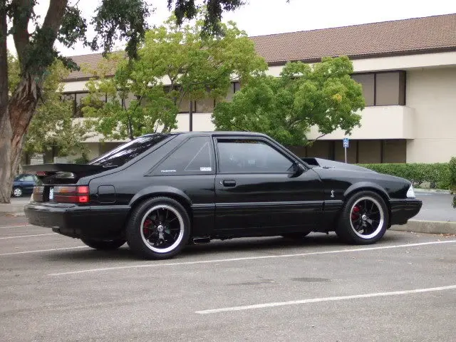 91107stang001cn0.webp