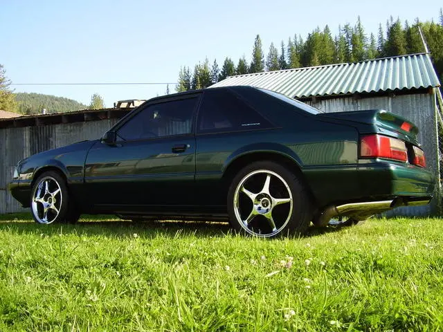 91108cleanstangshots035.webp